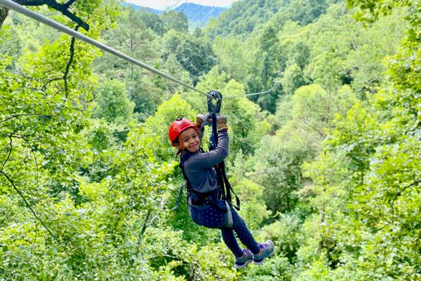 Navitat Canopy Adventures: Zip Lines near Asheville